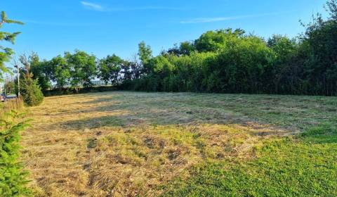 Sale Land – for living, Land – for living, Michalovce, Slovakia