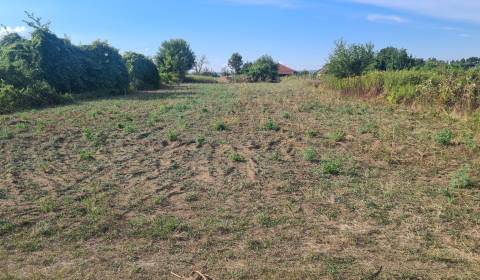 Sale Land – for living, Land – for living, Komárno, Slovakia