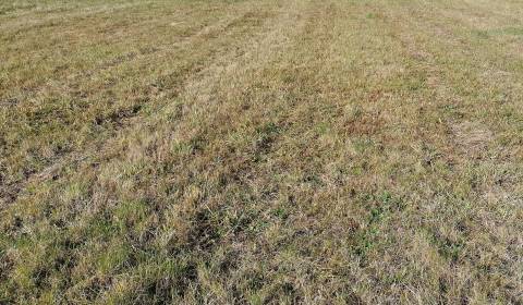 Sale Land – for living, Land – for living, Martin, Slovakia