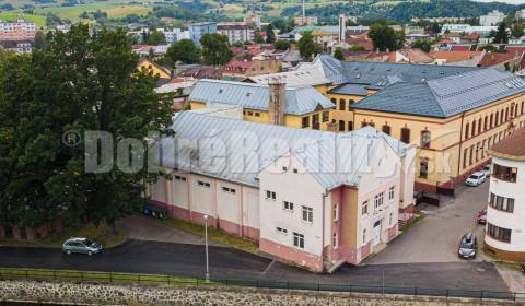 Sale Commercial premises, Commercial premises, Nábrežie Dukelských hrd