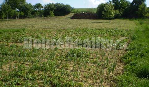 Sale Land – for living, Land – for living, Hlohovec, Slovakia