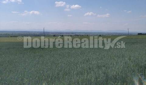 Sale Agrarian and forest land, Agrarian and forest land, Galanta, Slov