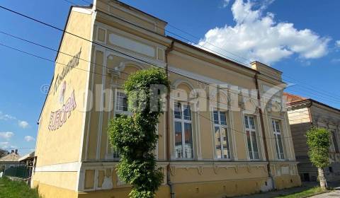 Sale Building, Building, Rimavská Sobota, Slovakia