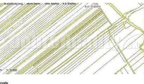 Sale Agrarian and forest land, Agrarian and forest land, Senec, Slovak