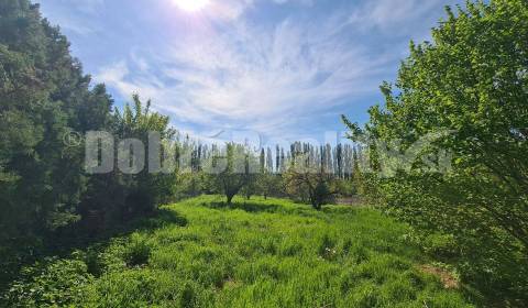 Sale Land – for living, Land – for living, Nový rad, Šaľa, Slovakia