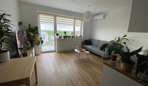 Sunny 1bdr apt 42m2, with air conditioning, parking and balcony