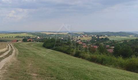 Sale Agrarian and forest land, Agrarian and forest land, Veľký Krtíš, 