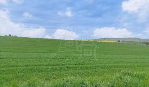 Sale Agrarian and forest land, Agrarian and forest land, Veľký Krtíš, 