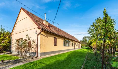 Sale Family house, Family house, Malinovská, Senec, Slovakia