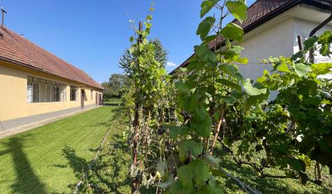 Sale Family house, Family house, Malinovská, Senec, Slovakia