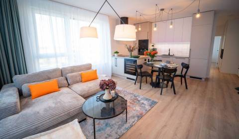 Rent One bedroom apartment, One bedroom apartment, Včelárska ulica, Tr