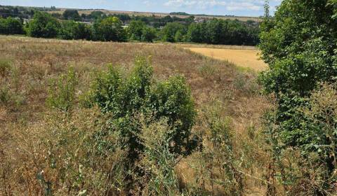 Sale Land – for living, Land – for living, Trnava, Slovakia