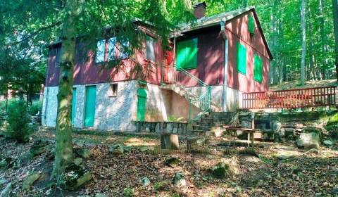 Sale Cottage, Cottage, Trenčín, Slovakia