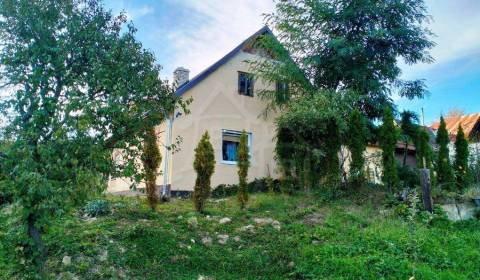 Sale Family house, Family house, Nové Mesto nad Váhom, Slovakia