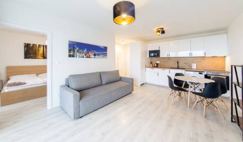 SHORT TERM (3M MINIMUM) Design, bright 1bdr apt 48m2, parking, MORUŠE