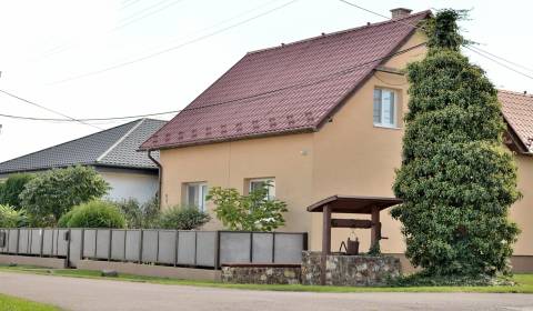 Sale Family house, Family house, Gaštanová, Trebišov, Slovakia