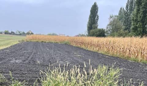 Sale Land – for living, Land – for living, Dunajská Streda, Slovakia