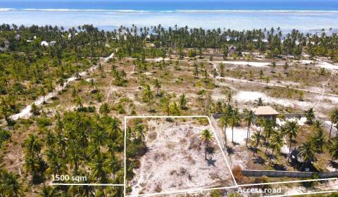 Beautiful Land near the Beach in Bwejuu