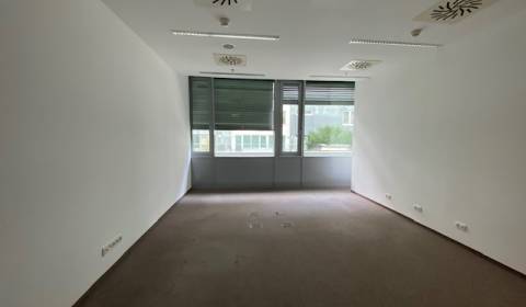 Rent Offices, Offices, Dvořákovo nábrežie, Bratislava - Staré Mesto, S