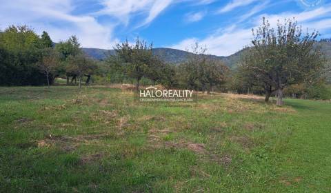 Sale Land – for living, Žarnovica, Slovakia