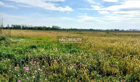 Sale Land – for living, Nitra, Slovakia