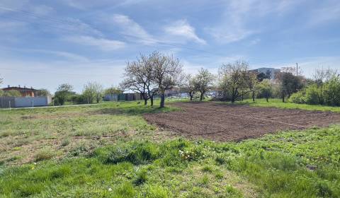 Sale Agrarian and forest land, Agrarian and forest land, Grobská, Sene