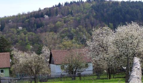 Sale Family house, Family house, Detva, Slovakia