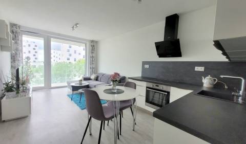 Rent One bedroom apartment, One bedroom apartment, Závodu Matador, Bra