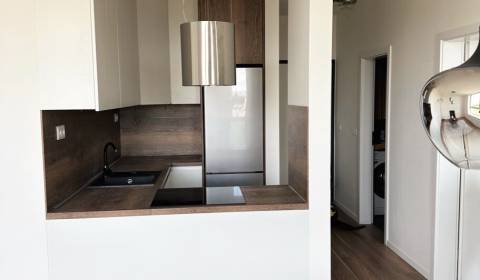 Rent One bedroom apartment, One bedroom apartment, Labutia, Bratislava