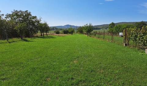 Sale Land – for living, Land – for living, Doľany, Pezinok, Slovakia