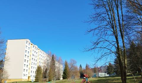 Sale One bedroom apartment, One bedroom apartment, A.Hlinku, Zvolen, S