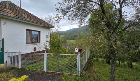 Sale Family house, Family house, Trenčín, Slovakia