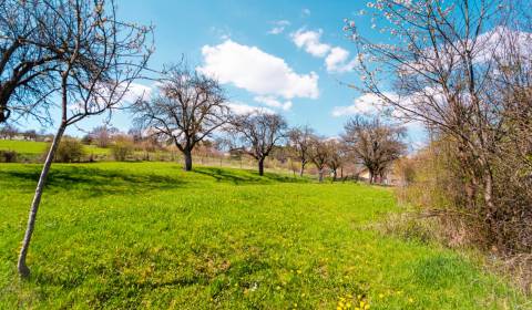 Sale Land – for living, Land – for living, Kvašov, Púchov, Slovakia