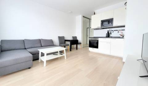 Rent One bedroom apartment, One bedroom apartment, Zuzany Chalupovej, 