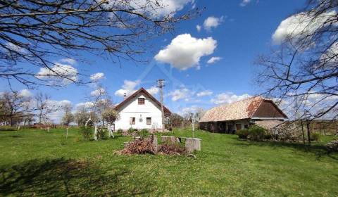 Sale Family house, Family house, Krupina, Slovakia