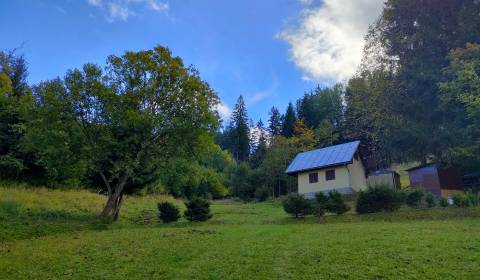 Sale Cottage, Cottage, Bytča, Slovakia