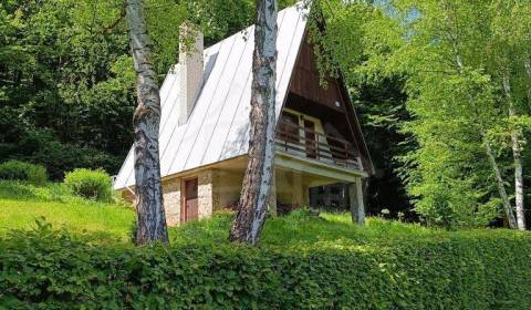 Sale Cottage, Cottage, Trenčín, Slovakia