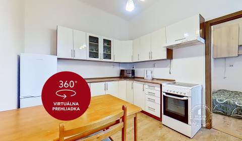 Spacious One-bedroom flat near MEDICAL FACULTY, Blumentálska street