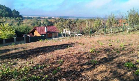 Sale Gardens, Gardens, Nové Mesto nad Váhom, Slovakia