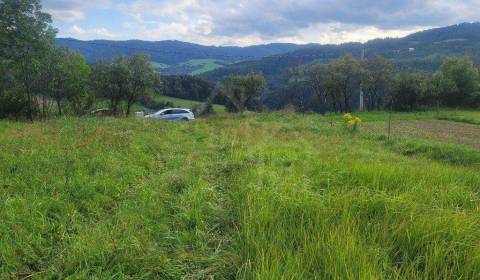 Sale Agrarian and forest land, Agrarian and forest land, Púchov, Slova