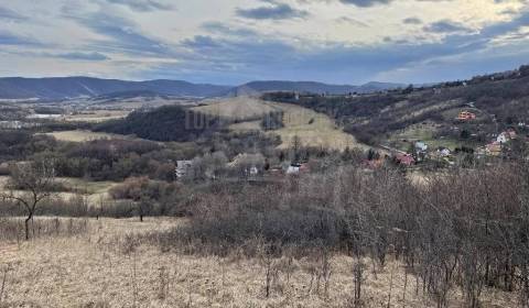 Sale Agrarian and forest land, Agrarian and forest land, Rožňava, Slov