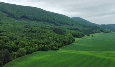 Sale Agrarian and forest land, Agrarian and forest land, Trnava, Slova