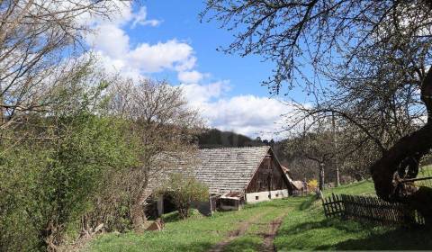 Sale Family house, Family house, Krupina, Slovakia