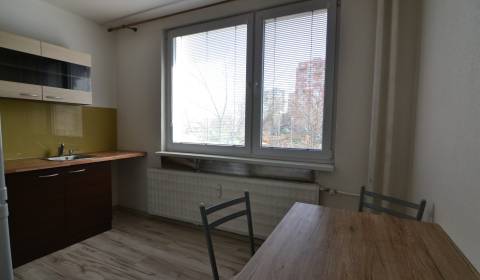 Rent One bedroom apartment, One bedroom apartment, Nové Zámky, Slovaki