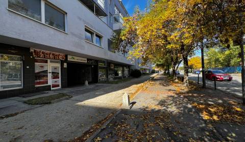 Rent Studio, Studio, Tomášikova, Bratislava - Ružinov, Slovakia