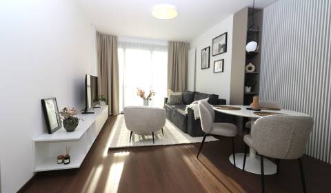 Rent One bedroom apartment, One bedroom apartment, Pribinova, Bratisla