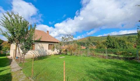 Sale Family house, Family house, Zlaté Moravce, Slovakia