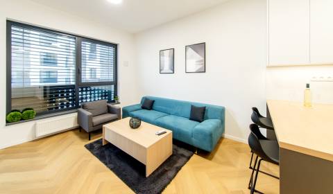 Magnificent 1bdr apt 49m2, loggia and air conditioning, KESSELBAUER