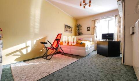 Sale One bedroom apartment, One bedroom apartment, Mýtna, Bratislava -