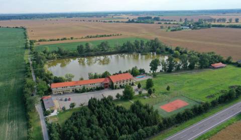 Sale Hotels and pensions, Hotels and pensions, Komárno, Slovakia